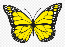 Spiritual Meaning Of Yellow Butterflies - Butterfly Clip Art Yellow ...