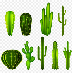 cactaceae clip art - cactus graphic transparent background ...