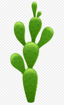 Cactaceae Saguaro Clip art - Cactus Transparent PNG Clip Art ...