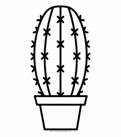 Download for free 10 PNG Cactus clip art simple top images ...