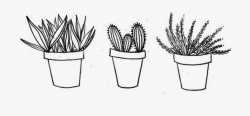 Cute Cactus Png - Cactus Aesthetic Drawing, Cliparts & Cartoons ...