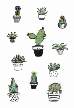 Pin by Becca Hummel on aesthetics | Cactus doodle, Cactus drawing ...