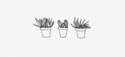 Cactus Drawing - Yellow Tumblr Background Aesthetic PNG Image ...