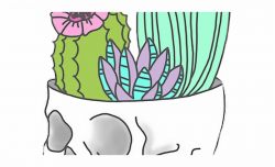 Cactus Clipart Aesthetic Free Clip Art Stock Png Png - Cactus Skull ...