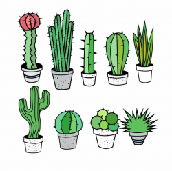 Collection of free Cacti clipart aesthetic. Download on UI Ex