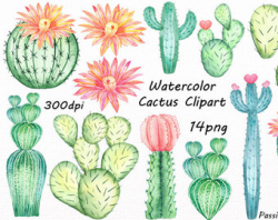 Cactus clipart boho, Cactus boho Transparent FREE for download on ...