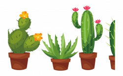 Cactus Flower Png Library Techflourish Collections - Cactus In Pots ...
