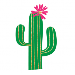 FIESTA CACTUS