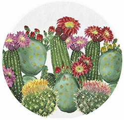 Amazon.com : Huangwei Flowers with Cactus Clipart Round Door Mat ...