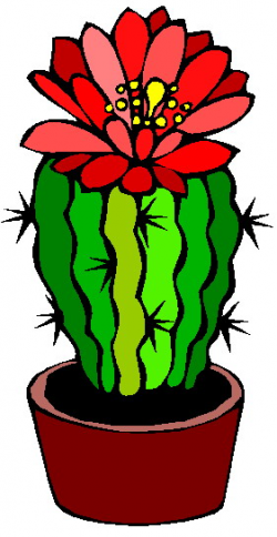 Beautiful Cactus Clipart | Plants Clipart | Cactus clipart, Cactus ...