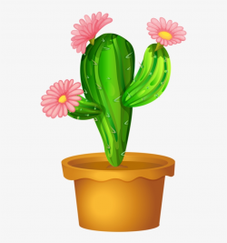 Picture - Cactus Flower Clipart - Free Transparent PNG Download - PNGkey