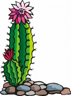 Gallery for cactus flower clipart 2 image #25259 | Drawing in 2019 ...