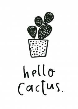 black and white cactus – bbuzz
