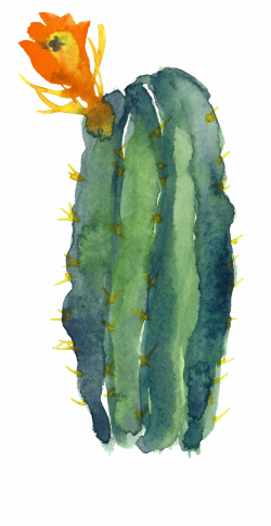 Collection Of Free Cactus Drawing Modern - Watercolor Cactus Clipart ...