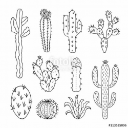 Cactus outline vector illustrations. Succulents plants doodle ...