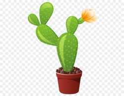 Cactus, Flower, transparent png image & clipart free download