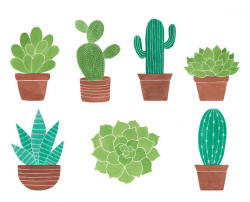 7 Watercolor Cliparts Cactus Clipart Succulent Clipart - Clip Art ...