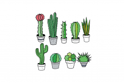 cactus and succulents clipart