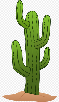 Cactus, Plant, Hand, transparent png image & clipart free download