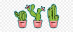 Cactus Clipart Little - Cactus Png, Transparent Png - 640x480 ...