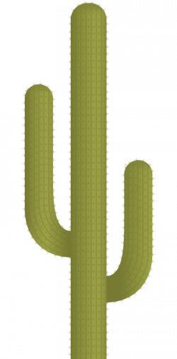 Download CACTUS Free PNG transparent image and clipart