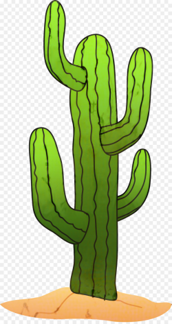 Cactus Portable Network Graphics Clip art Vector graphics Saguaro ...