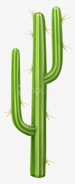 Cactus PNG Images | PNG Cliparts Free Download on SeekPNG