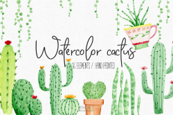 Watercolor cactus clipart