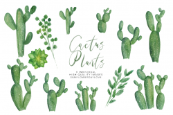 Watercolor Cactus Plant Clipart Set, Green Natural Botanical Clip Art,  Succulent Cactus clipart, Cacti plants clip art, cactuses clipart set -  Vsual