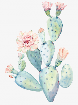 Free watercolor cactus clipart 8 » Clipart Station