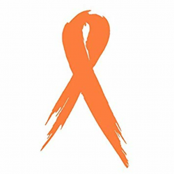 ForestinLA [#73] FLA Two Leukemia & Kidney Cancer Awareness Ribbon Car  Vinyl Decal Sticker 3\