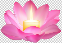 Lotus Candle , pink lotus flower with candle PNG clipart ...