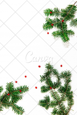Christmas holly berries and garland on white background ...