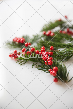 Christmas Holly Decoration - Photos by Canva