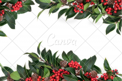 Holly Berry Border - Photos by Canva