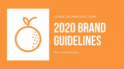 Orange Logo Minimalist Brand Guidelines Presentation ...