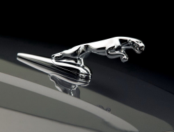 Jaguar Logo, Jaguar Car Symbol Meaning and History | Car ...