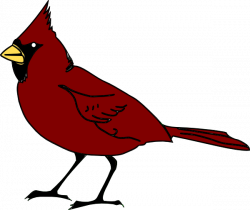 Free Cardinal Cliparts, Download Free Clip Art, Free Clip ...