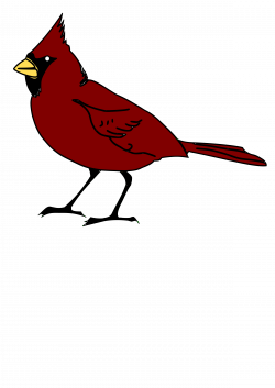 Cardinal Cartoon Clipart | Free download best Cardinal ...