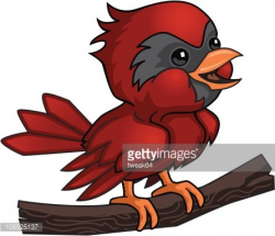 Cartoon Baby Cardinal Clipart Image | +1,566,198 clip arts