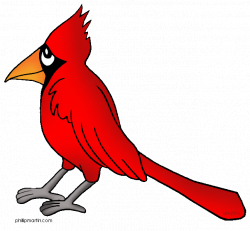 Clipart baby cardinal, Clipart baby cardinal Transparent ...