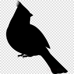 Cardinal Bird clipart - Illustration, Bird, Silhouette ...