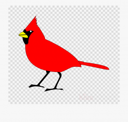 Bird Transparent Image - Northern Cardinal Clipart #1725957 ...