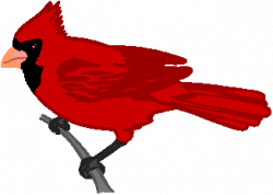 Free Free Cardinal Clipart, Download Free Clip Art, Free ...