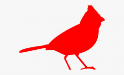 Cardinal Clipart Line Drawing - Cardinal #1216837 - Free ...