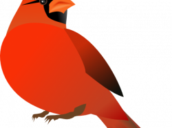 Clip art Northern cardinal Free content Vector graphics ...