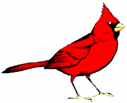 Flying cardinal clipart clipart images gallery for free ...