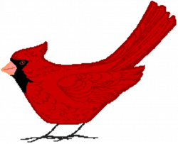 Free Cardinal Cliparts, Download Free Clip Art, Free Clip ...