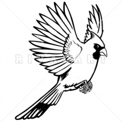 Cardinal Clipart | Free download best Cardinal Clipart on ...
