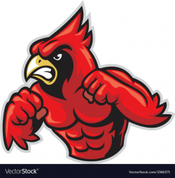 Cardinal bird mascot show his muscle